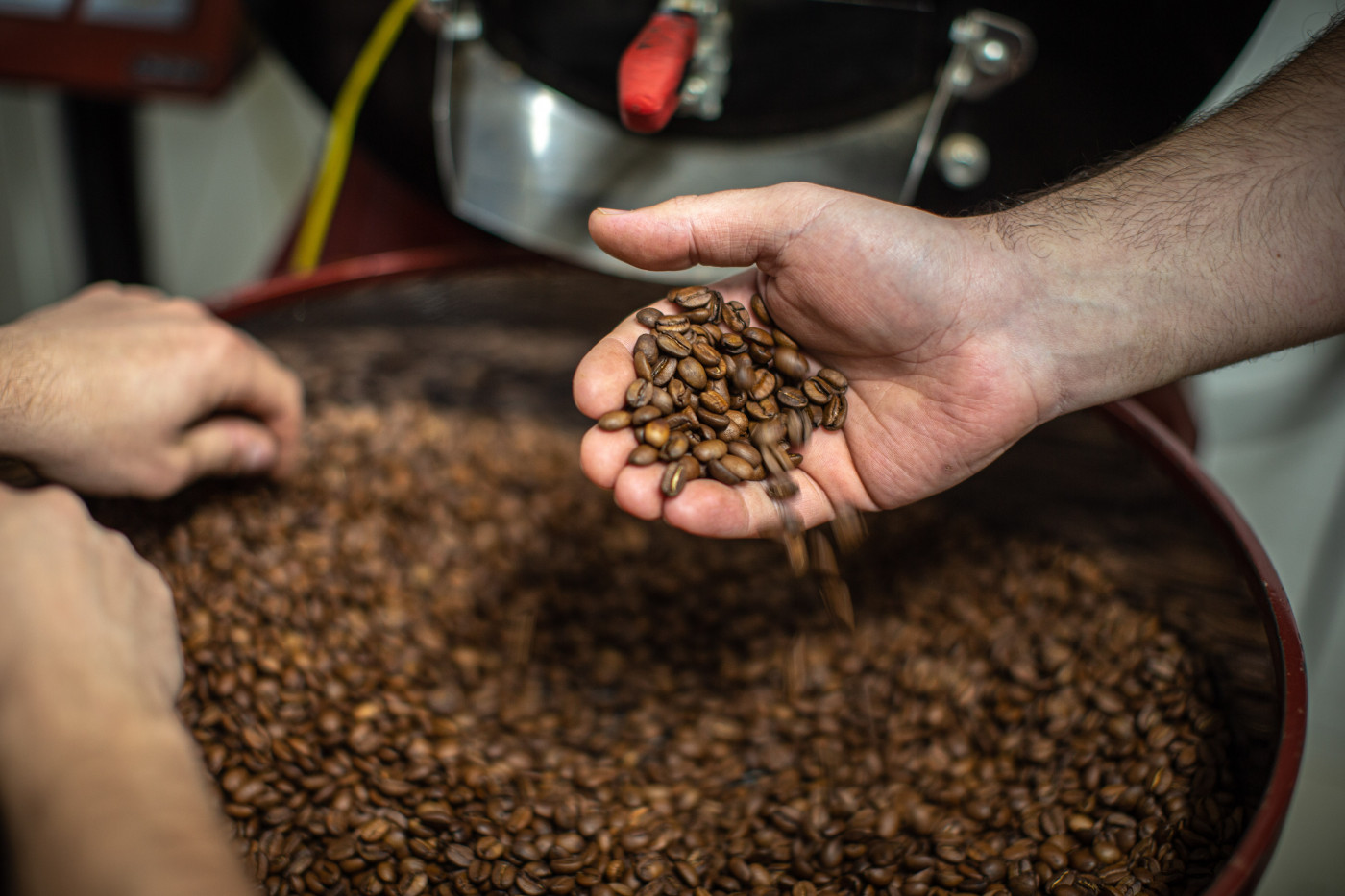 Lotes de café são declassificados inadequados para consumo pelo Ministério da Agricultura e Pecuária