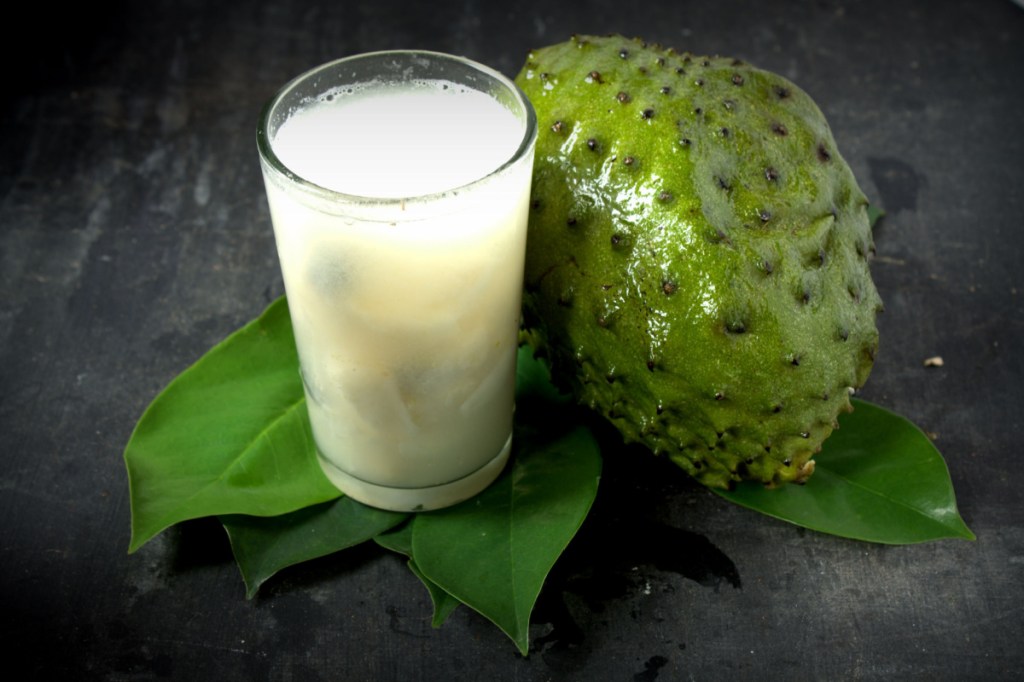 Selo Amazônia: o Brasil aposta na valorização de produtos sustentáveis