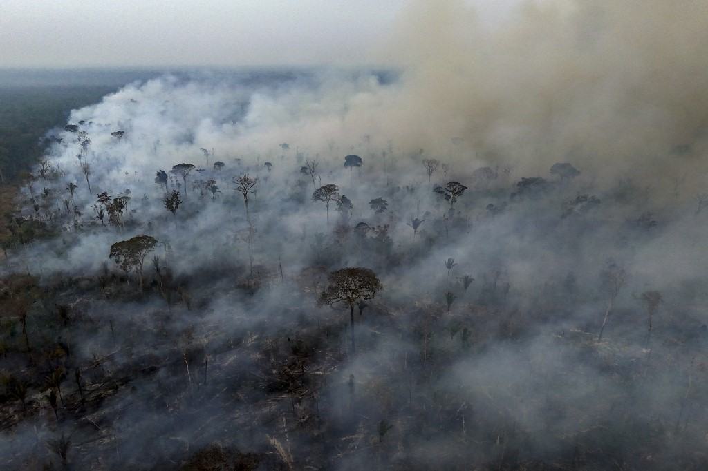 Pará registra aumento de incêndios em meio à preparação para sediar a COP30 em 2025