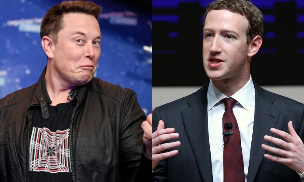 elon musk e Zuckerberg lutando