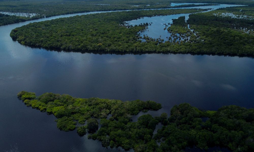 amazonia