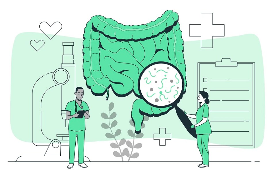 Ilustração do conceito de saúde intestinal