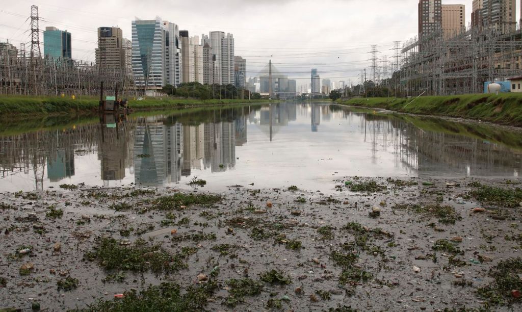 Mais de 75% dos rios da Mata Atlântica estão com qualidade da água regular