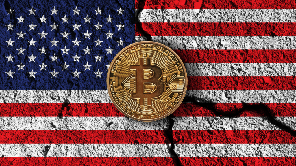 Projeto de senadora americana pode beneficiar investidores de bitcoin e outras criptomoedas; entenda