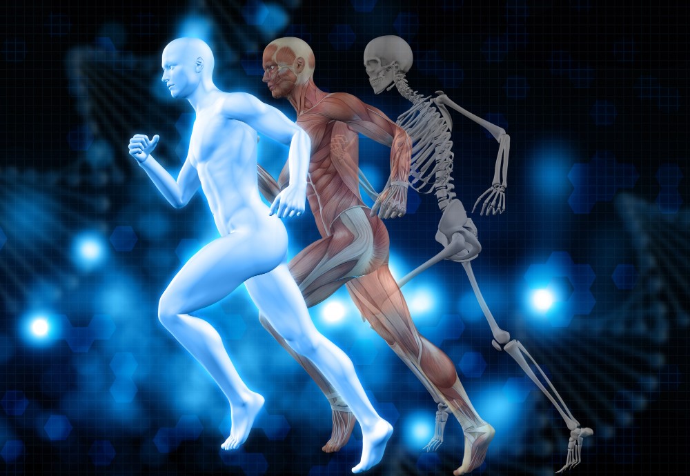 Biocinética 3D antecipa lesões e muda o rumo da medicina esportiva