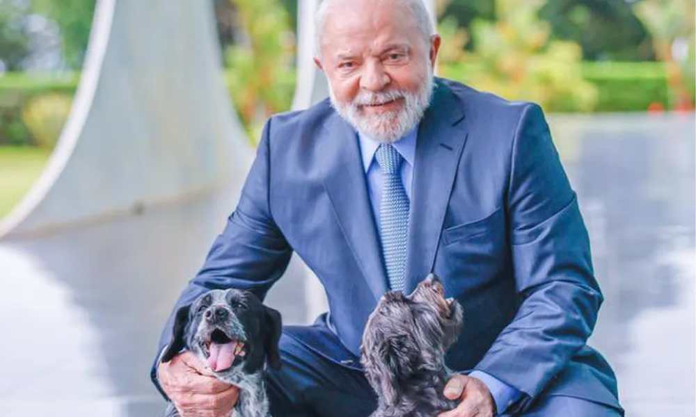 Lula publica fotos das cachorrinhas Resistência e Paris para celebrar Dia Nacional dos Animais