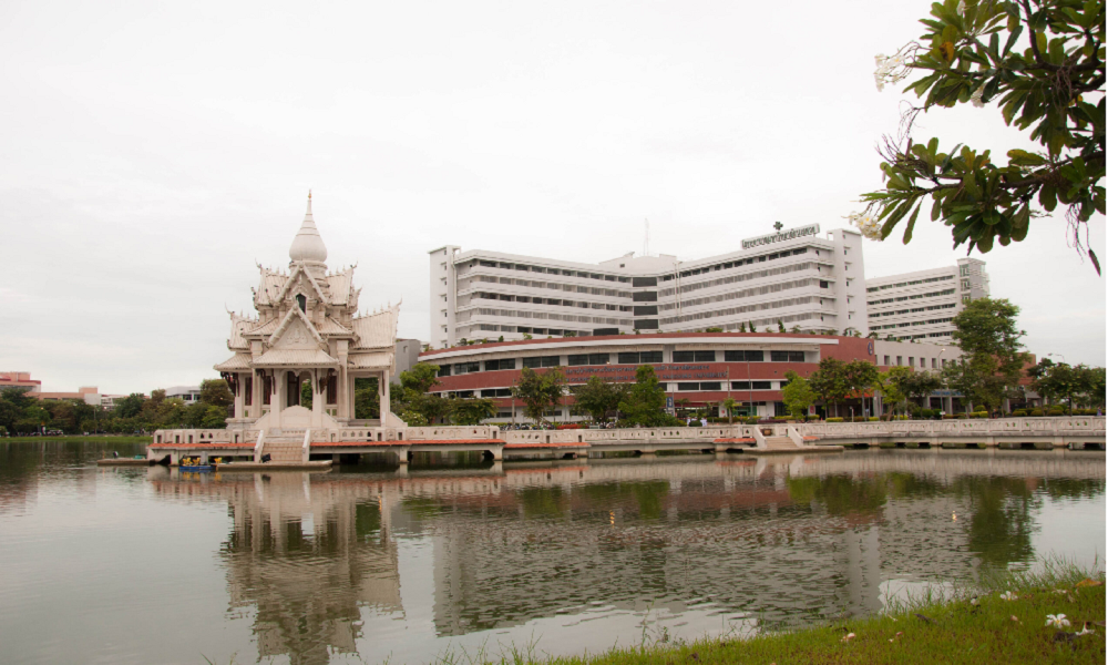 Universidade Naresuan