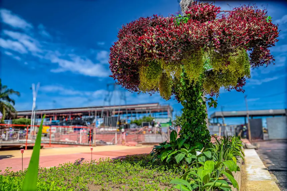 Dos Jardins Suspensos de Belém do Pará à Amazônia em cinzas