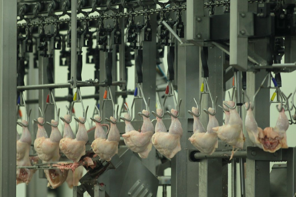 Coreia do Sul realizará inspeção nos frigoríficos de frango do Brasil para reabrir comércio de exportação