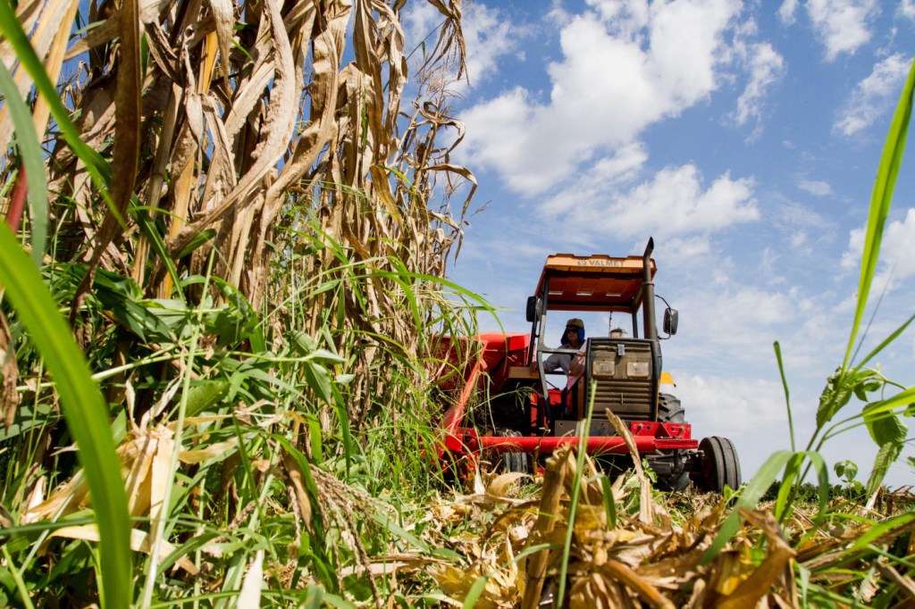 O agro sob pressão climática