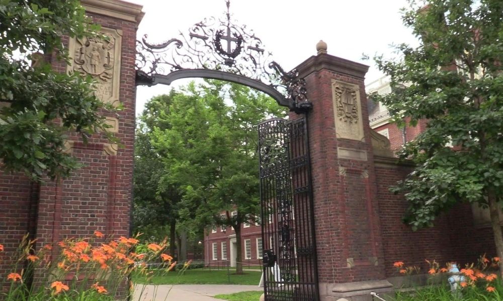 Harvard investirá US$ 250 milhões em pesquisa após cortes de Trump