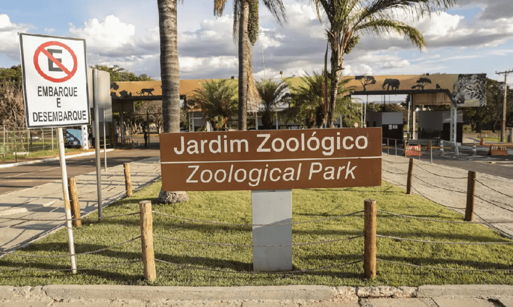 DF determina fechamento temporário do Jardim Zoológico de Brasília após suspeitas de gripe aviária