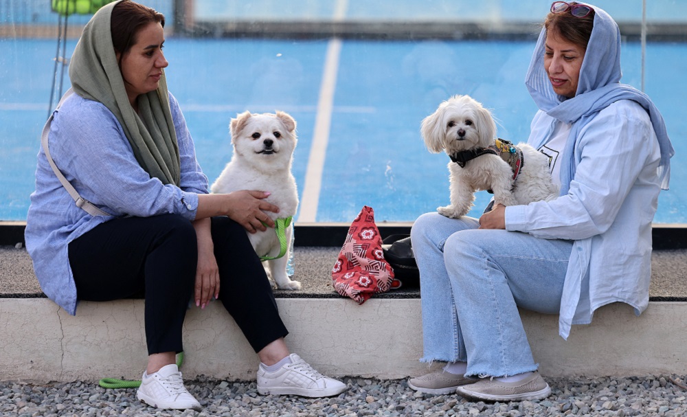Iranianos sentados com seus cães em um parque em Teerã, em 8 de junho de 2025. As autoridades iranianas expandiram a proibição de passear com cães em público para várias cidades do país, alegando preocupações com a saúde pública, a ordem social e a segurança, informou a mídia local em 8 de junho. Ter e passear com cães tem sido um tema controverso desde a Revolução Islâmica de 1979 no Irã, embora não haja nenhuma lei que proíba totalmente a posse de cães