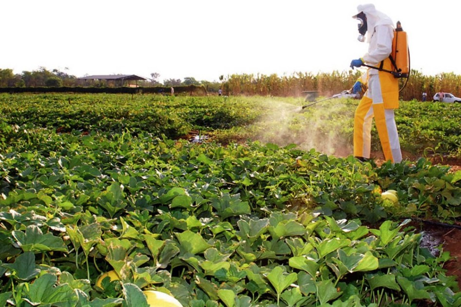 Agricultor aplica agroquímicos com todos os EPIs