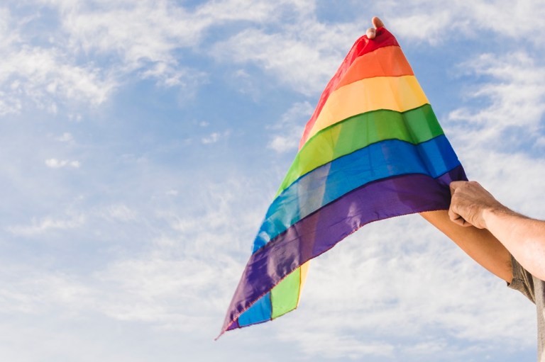 Mão masculina segura bandeira LBTQIA+