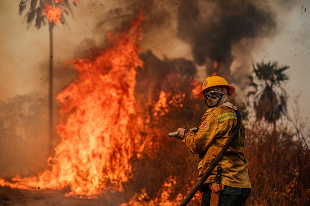 Fundo Amazônia destina recursos para combate a incêndios em biomas não amazônicos