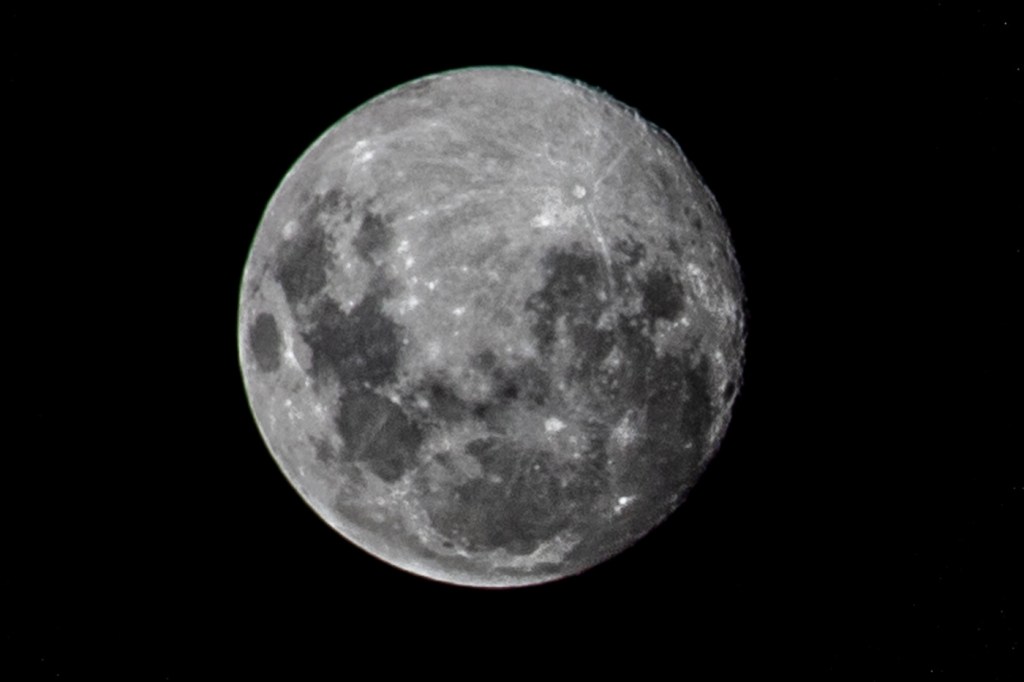 ‘Lua do veado’ aparece nesta quinta; entenda o nome e saiba qual melhor horário para observar