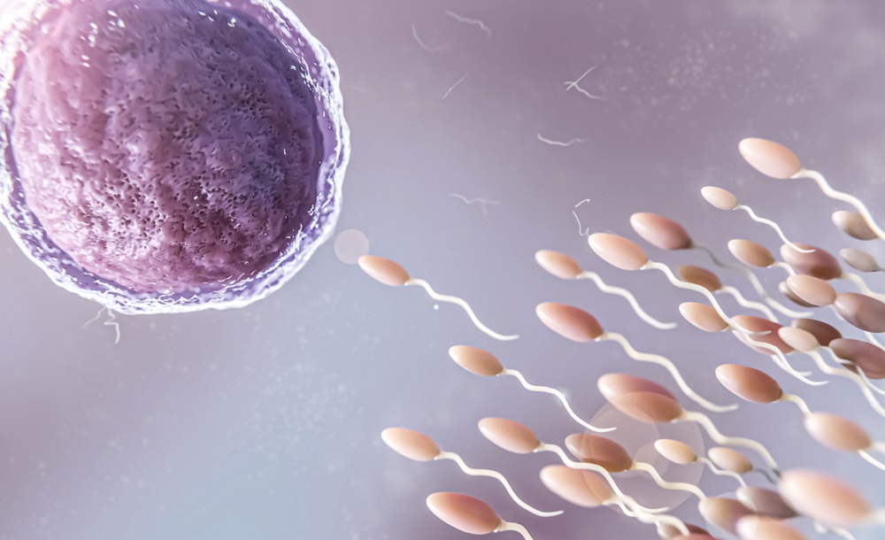 fertilizacao