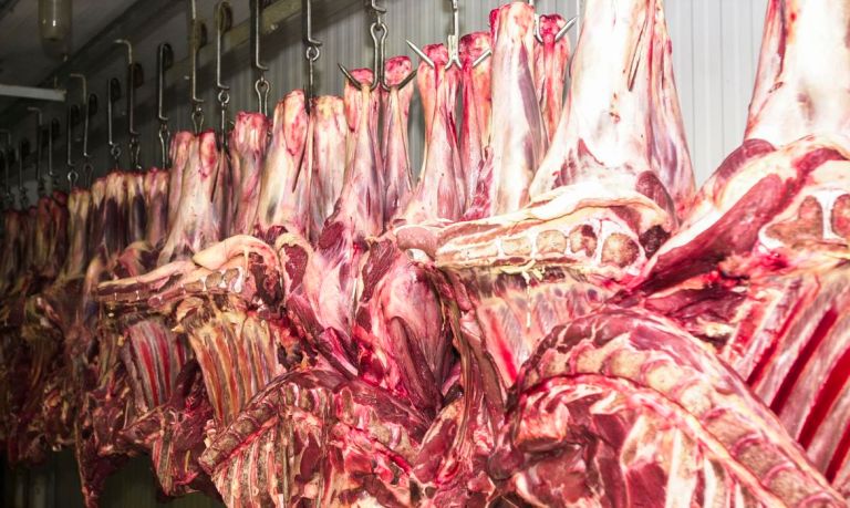 Carnes expostas em frigorífico