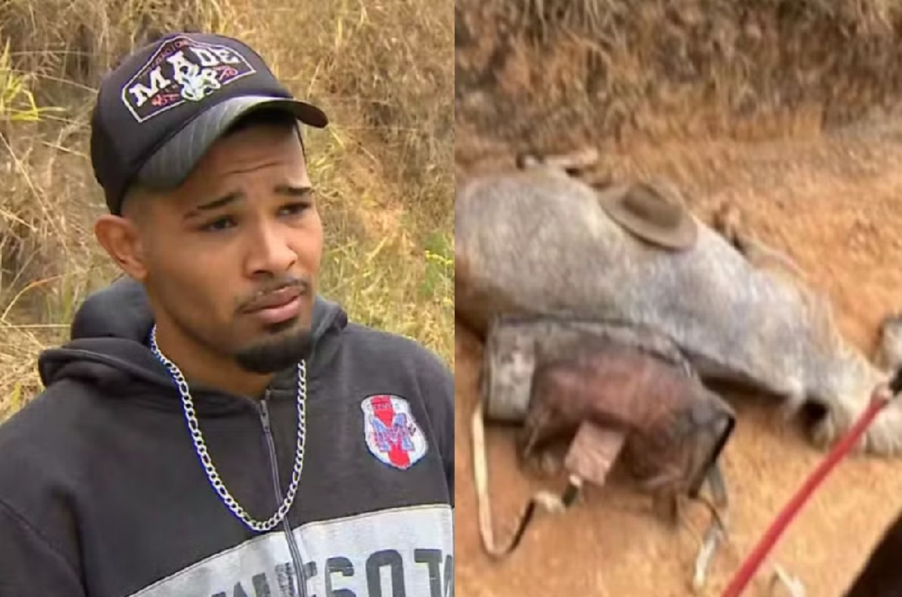 Quem é o jovem de 21 anos acusado de mutilar patas de cavalo em Bananal