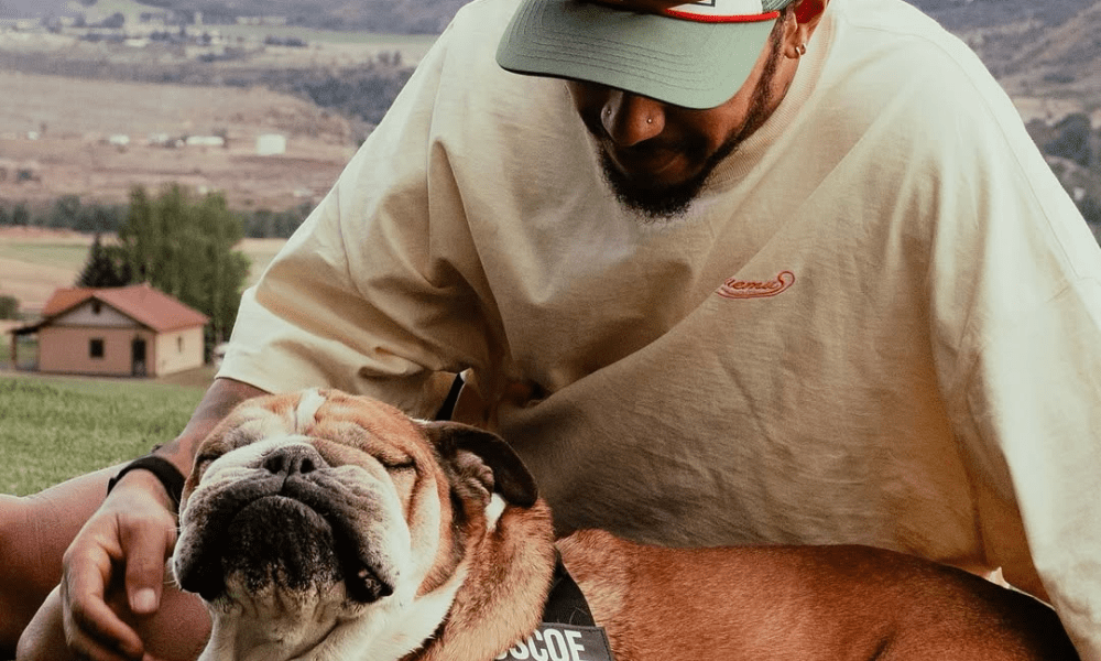 Lewis Hamilton anuncia a morte do cão Roscoe e se emociona: ‘Experiência dolorosa’