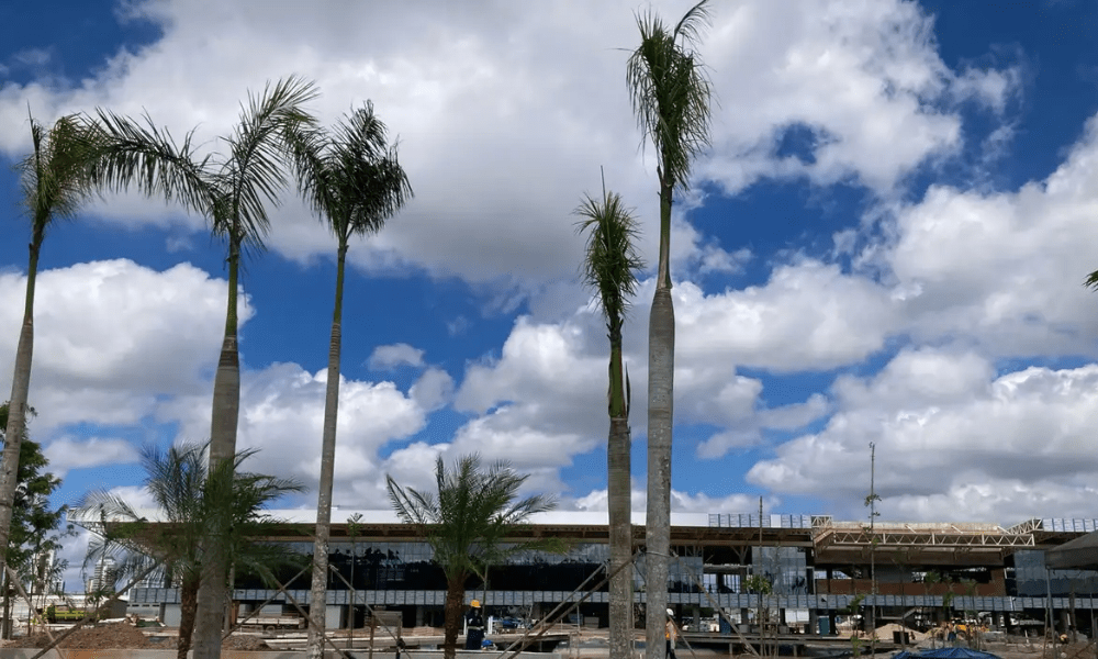 COP30 terá pavilhão de cientistas na Blue Zone pela primeira vez