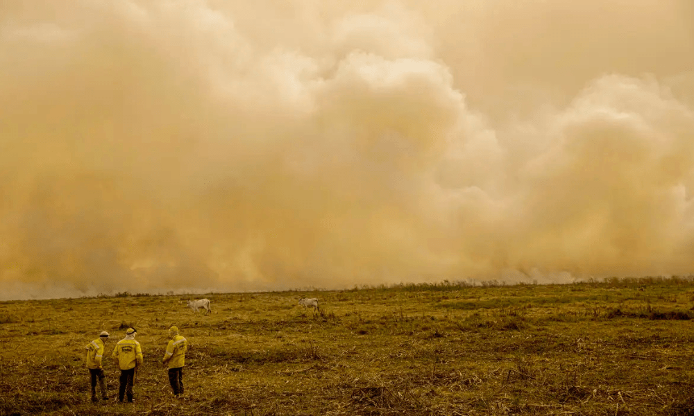 Calor já mata meio milhão de pessoas por ano, alertam cientistas