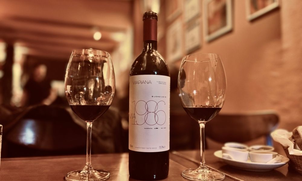 Conheça os vinhos premium brasileiros que merecem ser provados e adegados