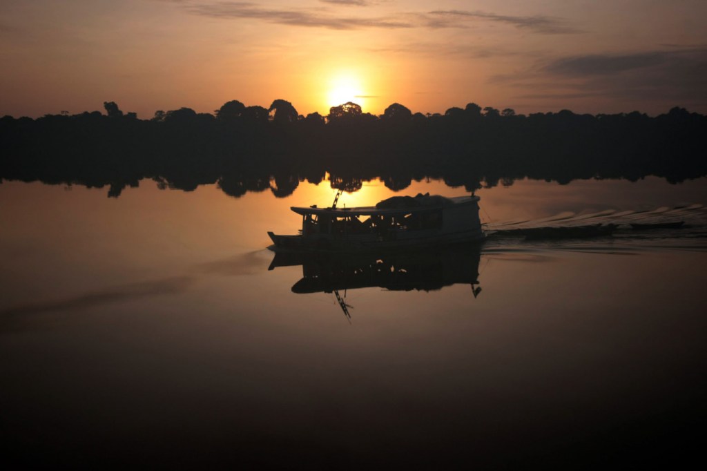 Fundo Amazônia x Fundo de Florestas: saiba a diferença entre os dois projetos