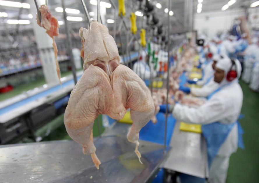 Produção de alimentos