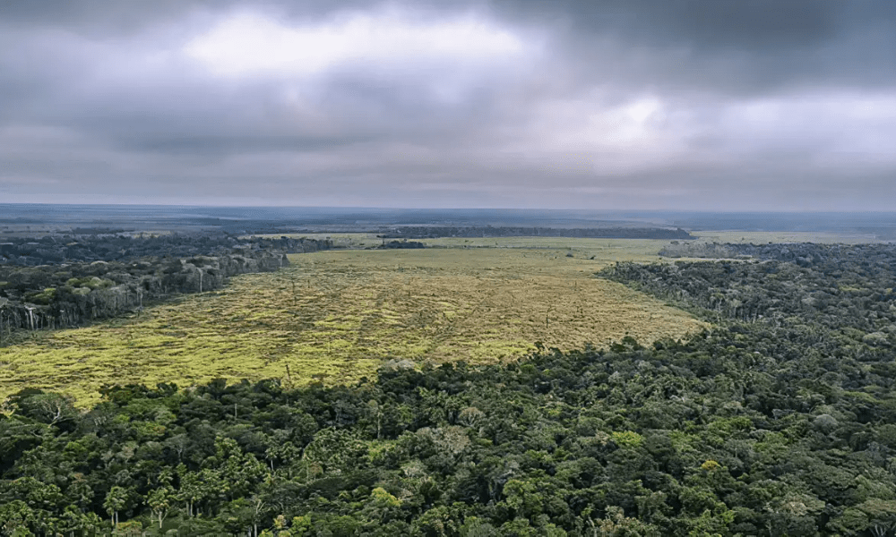 ONGs alertam para riscos aos ecossistemas e aos povos tradicionais