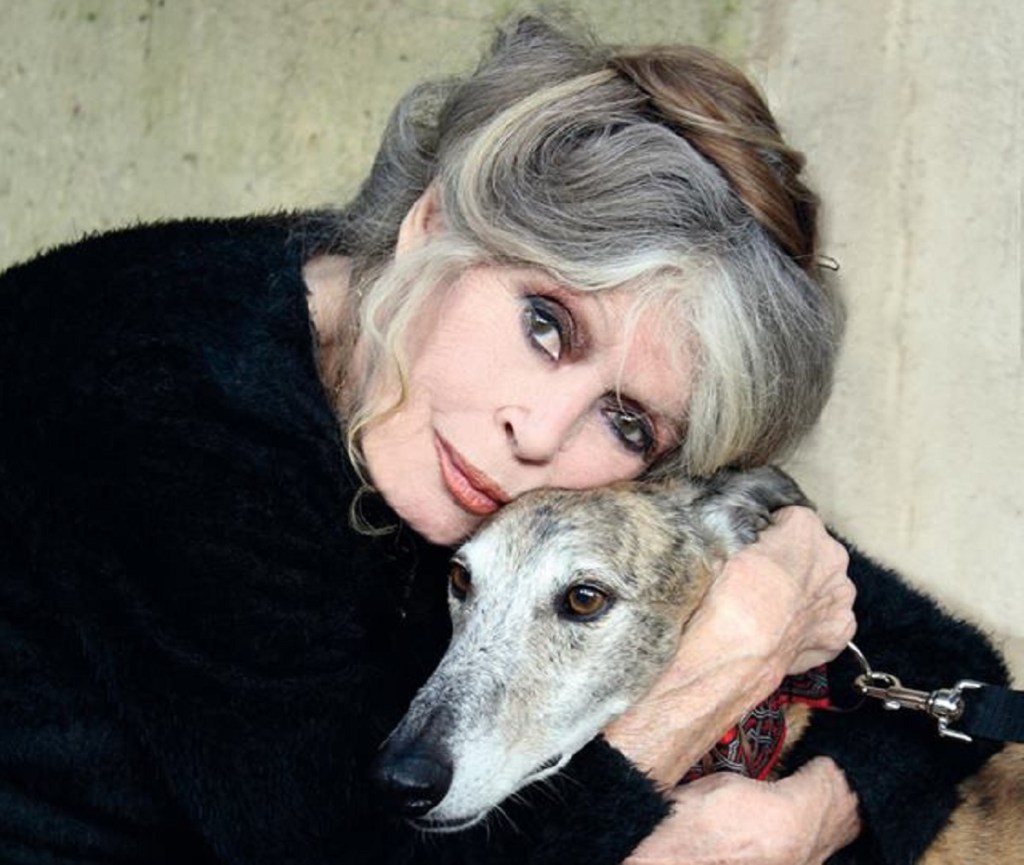 Morre Brigitte Bardot, lenda do cinema e ativista, aos 91 anos