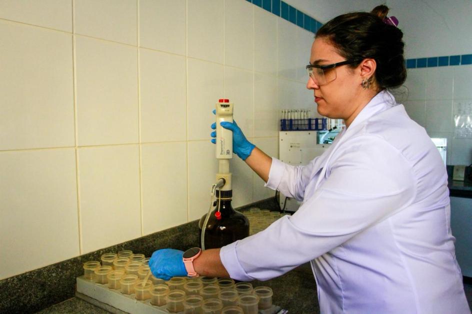 Pesquisadora do Instituto Agronômico (IAC-Apta), em Campinas