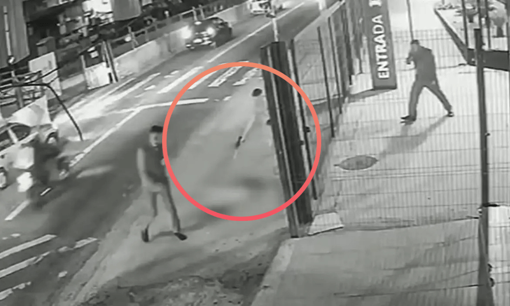 30/01/2026 - cachorro comunitário morre após ser baleado com cerca de 10 tiros em avenida da Zona Leste de SP. Foto: Câmera de segurança