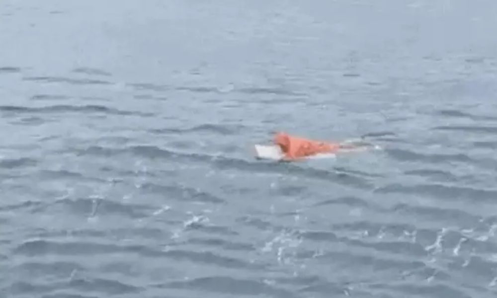 pescador geladeira
