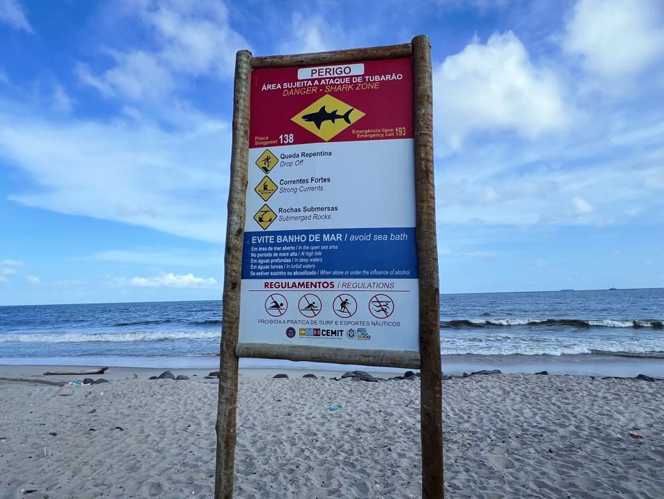 Adolescente morre após ser mordido por tubarão em praia de Pernambuco