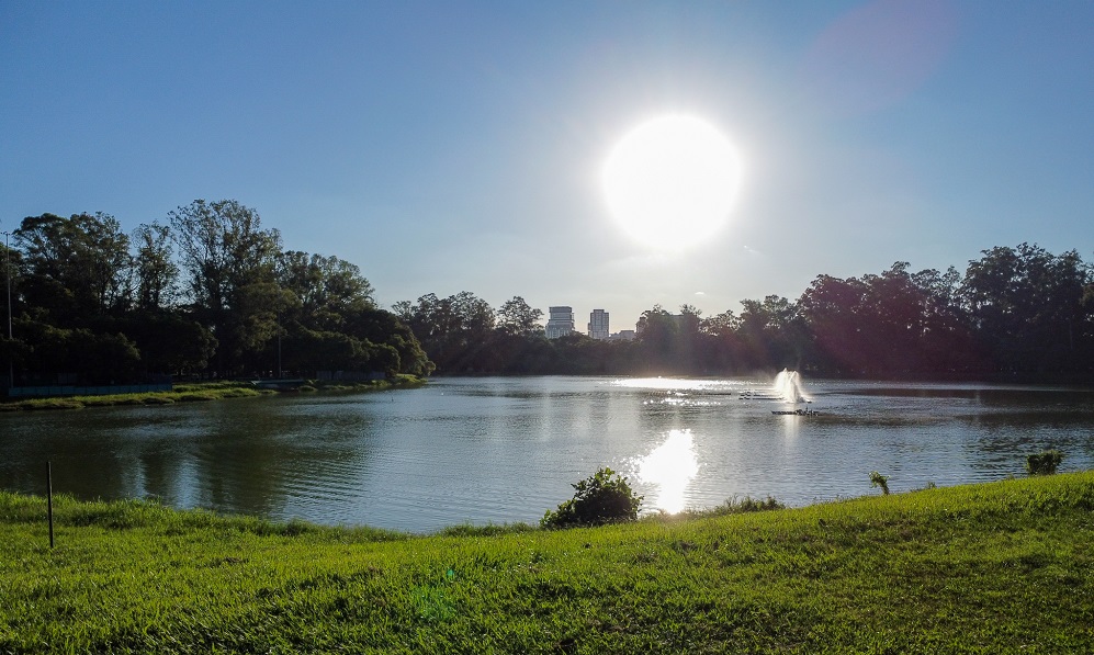 Calor e chuvas; veja a previsão do tempo para a 1ª semana útil do ano?