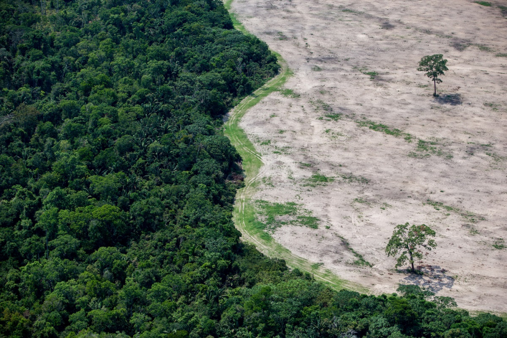 Alertas de desmatamento caem 35% na Amazônia, aponta Inpe