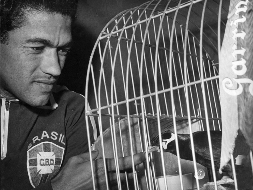Garrincha, brinca com o pássaro Mainá que ganhou de presente do governador da Guanabara, Carlos Lacerda