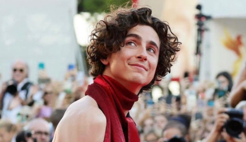 Timothée Chalamet: curiosidades e chances no Oscar 2026