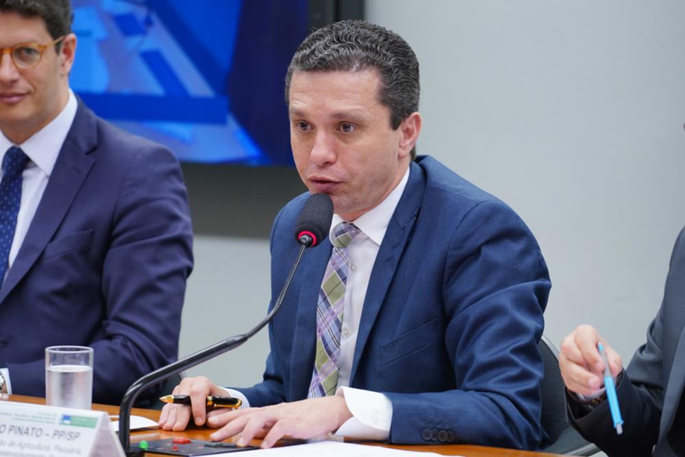 Deputado Fausto Pinato marcou videoconferência com Vorcaro e ‘Ciro’