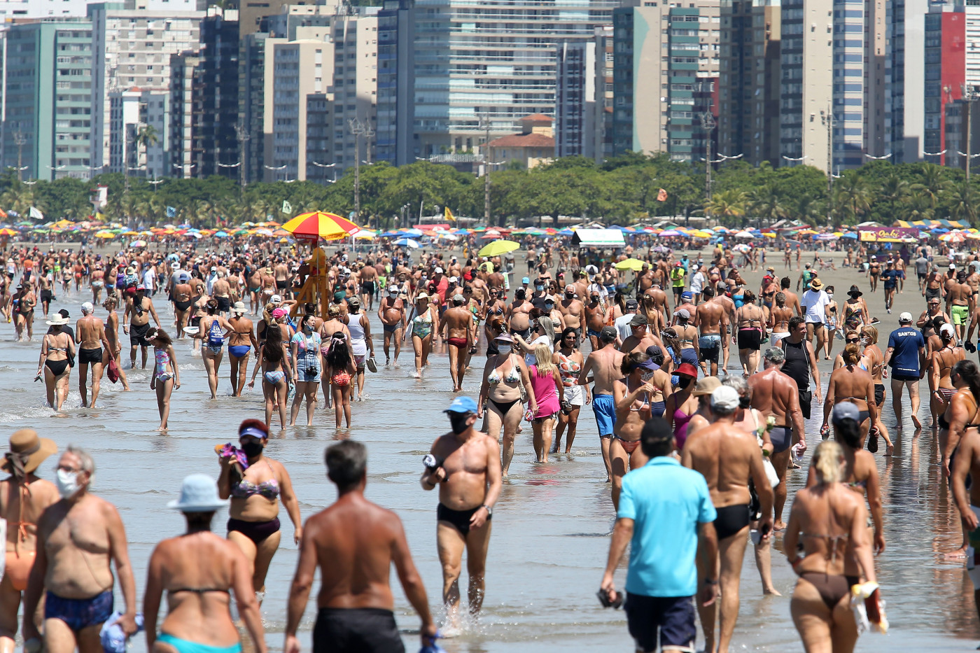 Litoral Norte ou Sul de SP: qual escolher para a sua viagem?