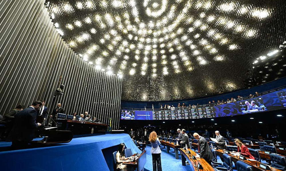 Senado aprova guarda compartilhada de animais de estimação em caso de divórcio