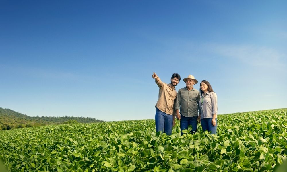 Sicredi libera R$ 52,8 bilhões em crédito rural no Plano Safra 25/26 e reforça atuação no agronegócio
