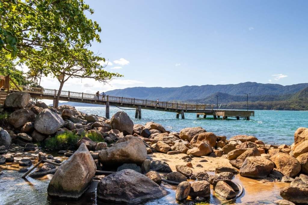 O borrachudo em Ilhabela: riscos da picada e medidas de proteção