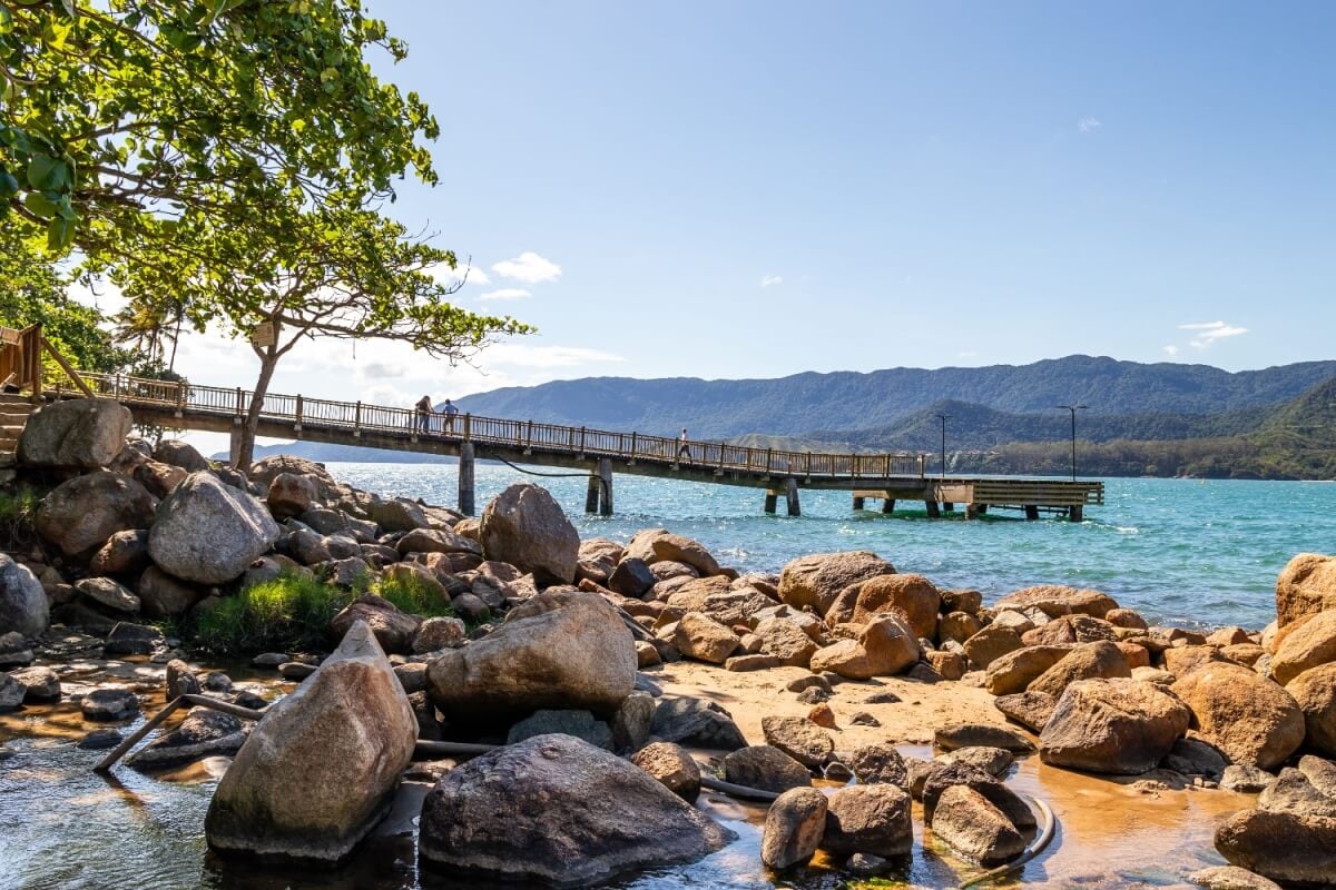 O borrachudo em Ilhabela: riscos da picada e medidas de proteção