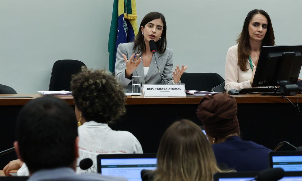Grupo de Trabalho da Câmara aprova projeto que equipara misoginia ao crime de racismo