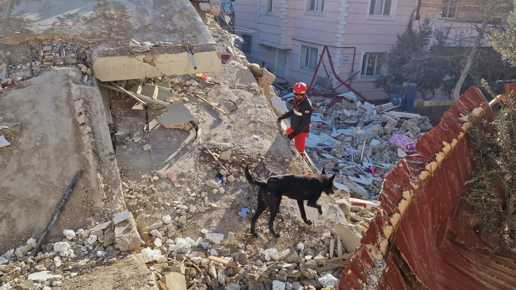 Países europeus mobilizam socorristas para ida à Venezuela após terremoto no país