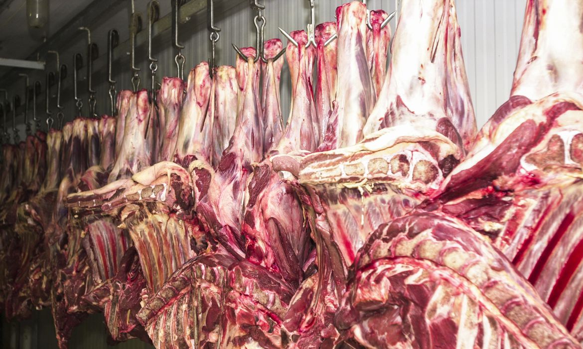 Governo Lula diz que há ‘tratativas em andamento’ após veto da UE à carne brasileira