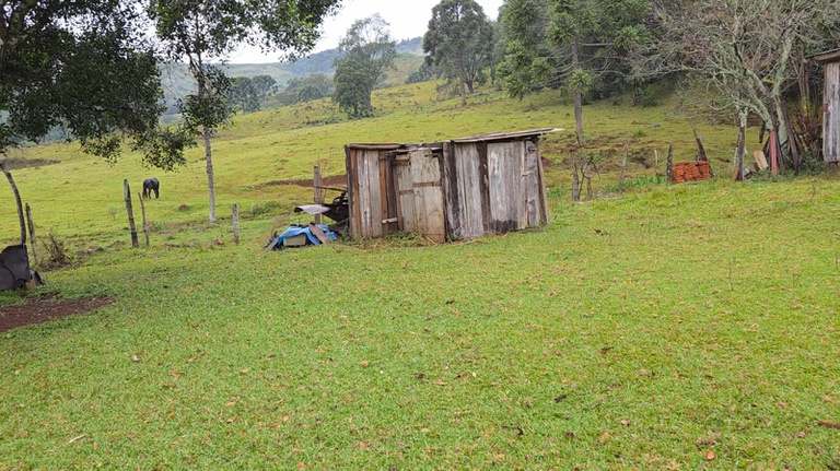 Casa de idosos em condição análoga à escravidão e resgatados no PR